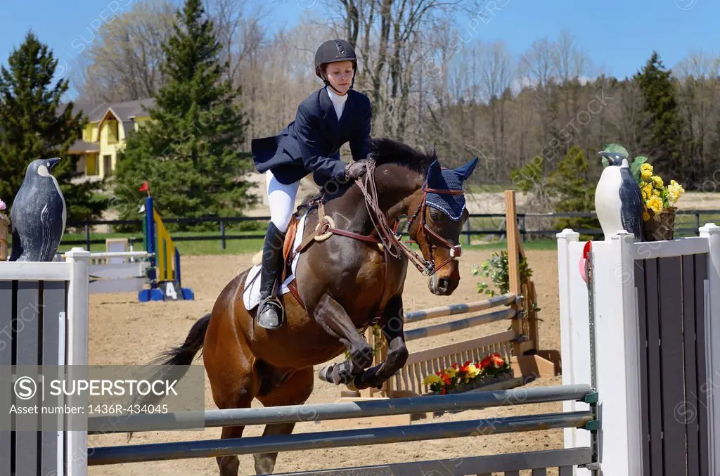 Teenage girl taking off on her horse over a jump at an outdoor equestrian show competition