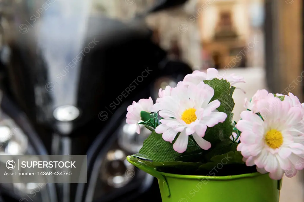 Flowers on a pot beside a motorbike