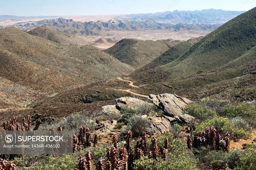 Arid valley with desert road in a Karoo landscape at the Helskloof Pass, Richtersveld National Park, Namaqualand, Northern Cape Province, South Africa