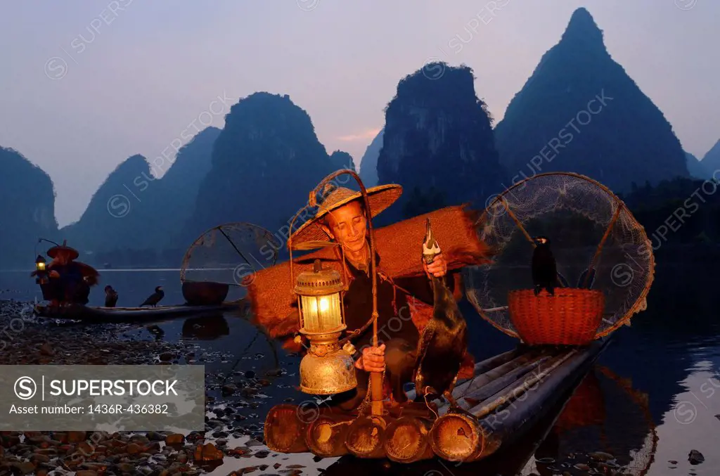 Fisherman moving cormorant by the head on a bamboo raft by the shore of the Li river Yangshuo China