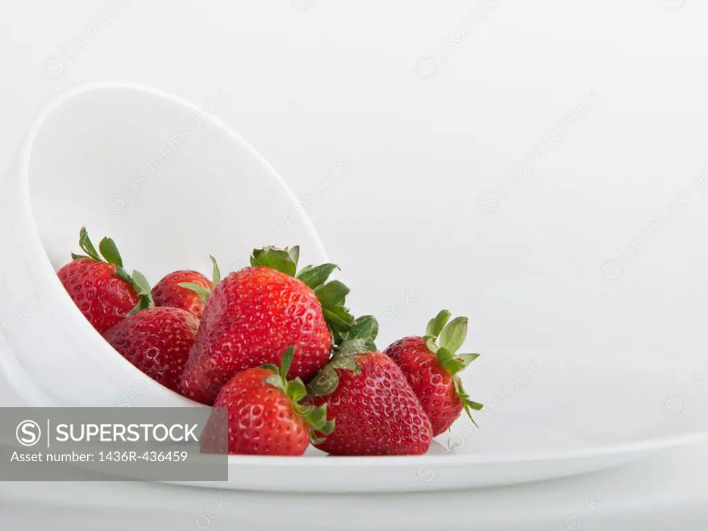 Still life photograph of a bowl full of strawberries with white background