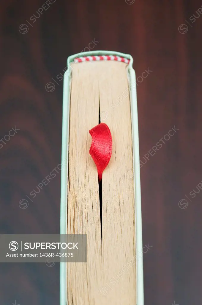 above view of book with bookmark