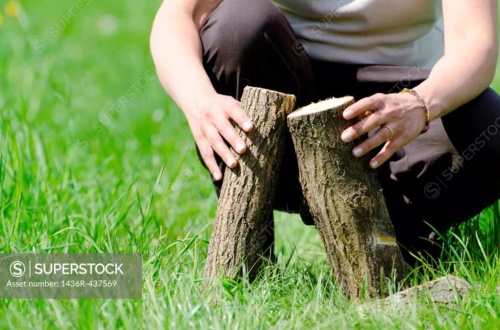Woman hands holding firewood on the green grass