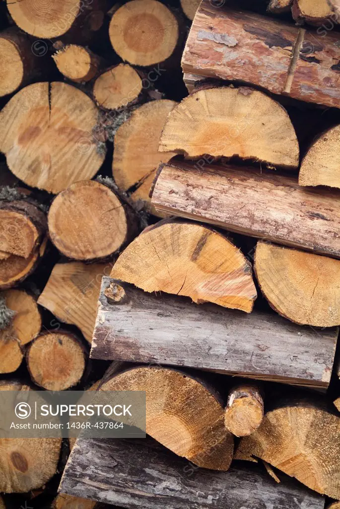 stacked firewood, logs of wood for heating
