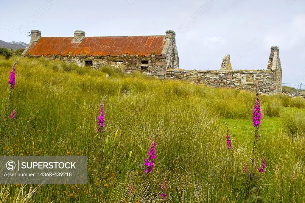 Ruined, derelict cottage on Achill Island, County Mayo, Ireland