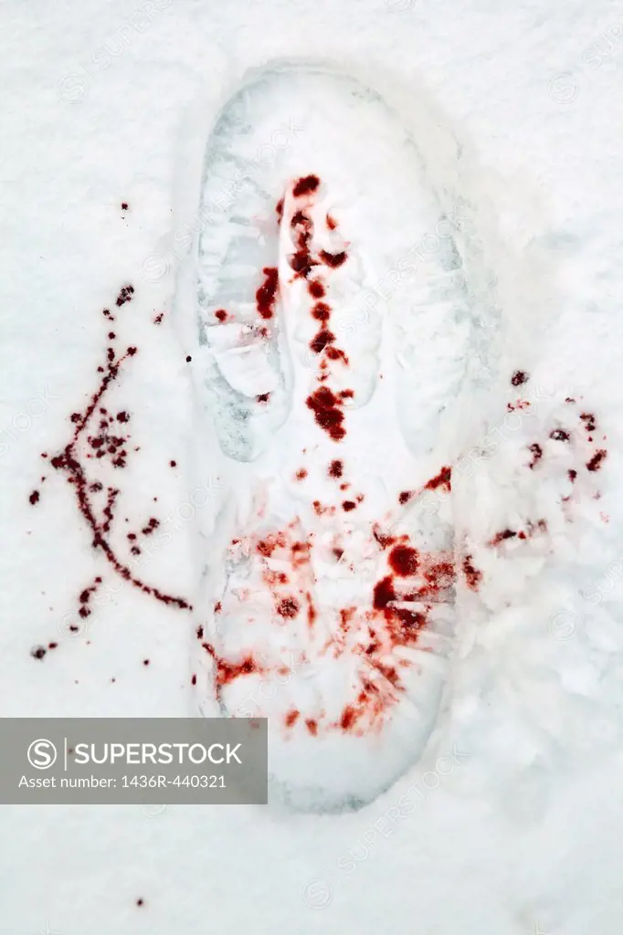 bloody footprint in the snow