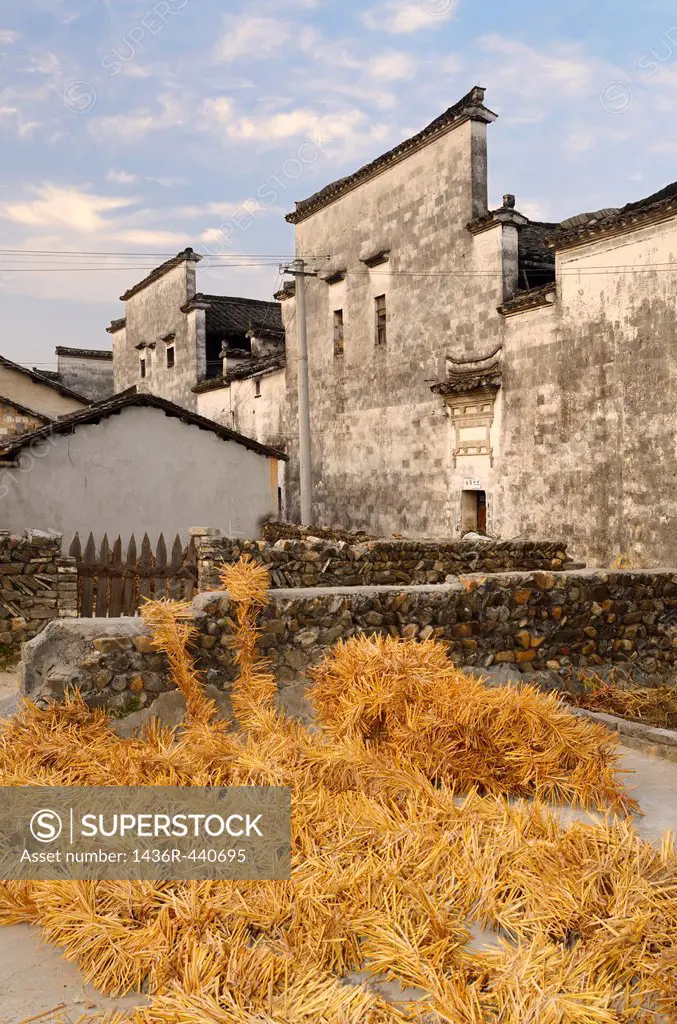 Cords of straw used to collect silkworm cocoons drying in a courtyard of Hongcun China