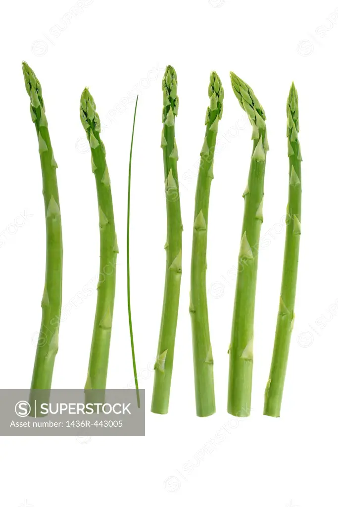 Green asparagus Asparagus officinalis and chive Allium schoenoprasum, symbol for weight loss or physical difference