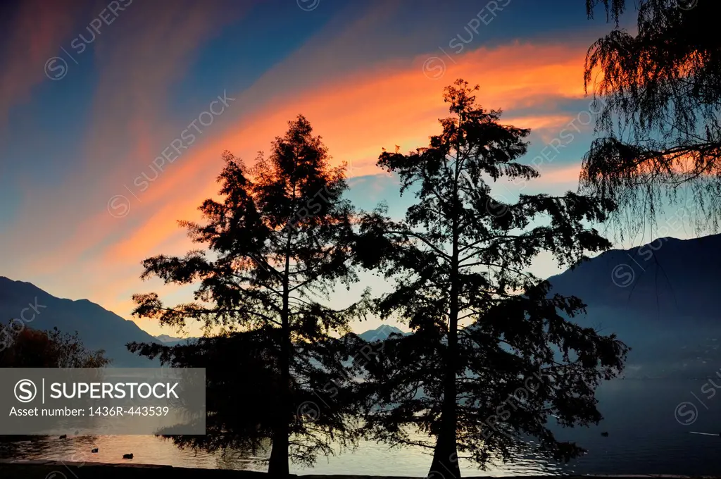 Trees on the lake front with mountain and blue sky and orange clouds in sunrise