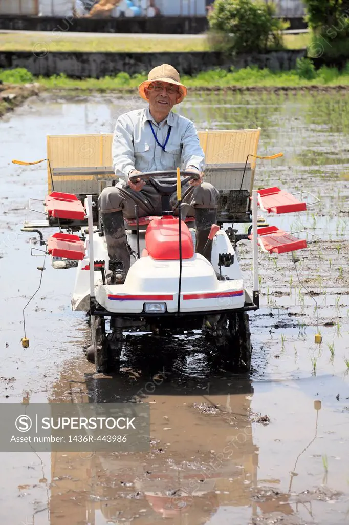 Farmer Rice Planting with Rice Planter