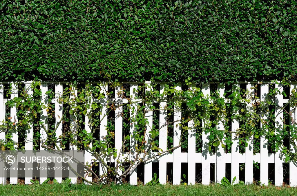 White picket fence, New England, USA