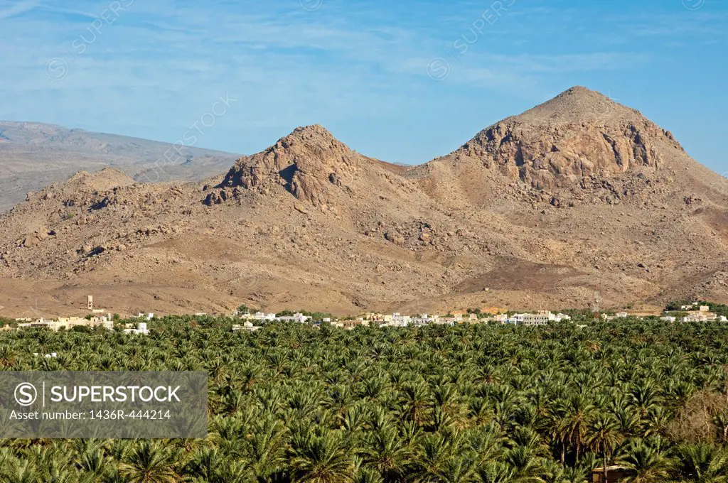 The town of Al Hamra located between a green oasis with date palm plantations and the barren rock sites of the Jebel Akhdar mountain, Sultanate of Oma...
