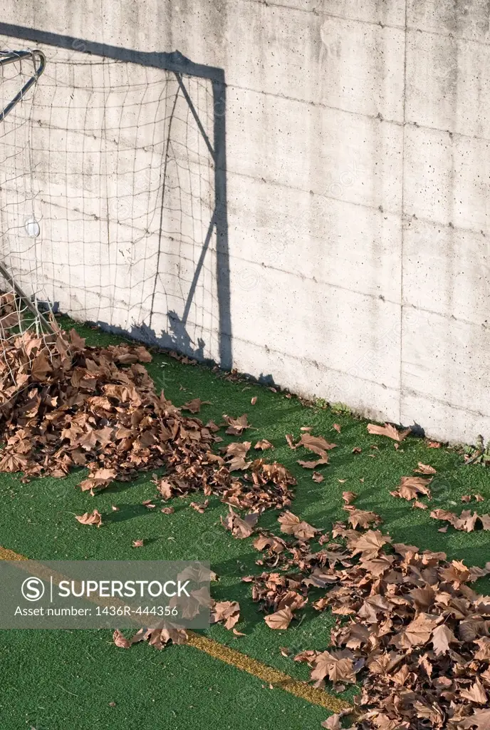 Fallen leaves on football court play area