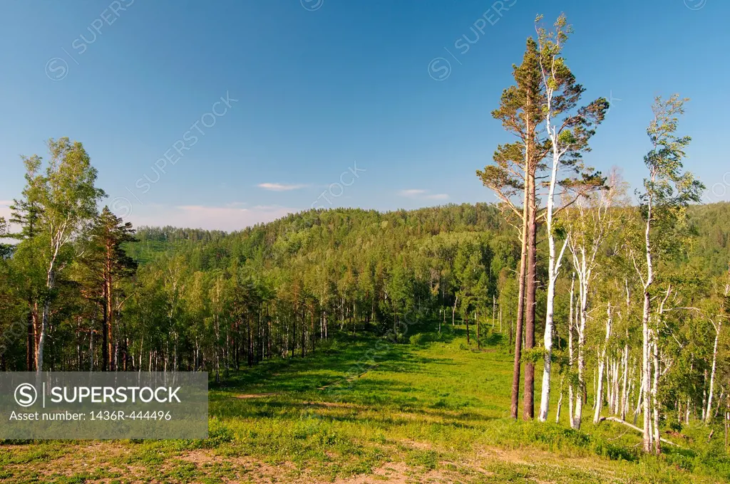Russian landscape  Siberia, Russian Federation