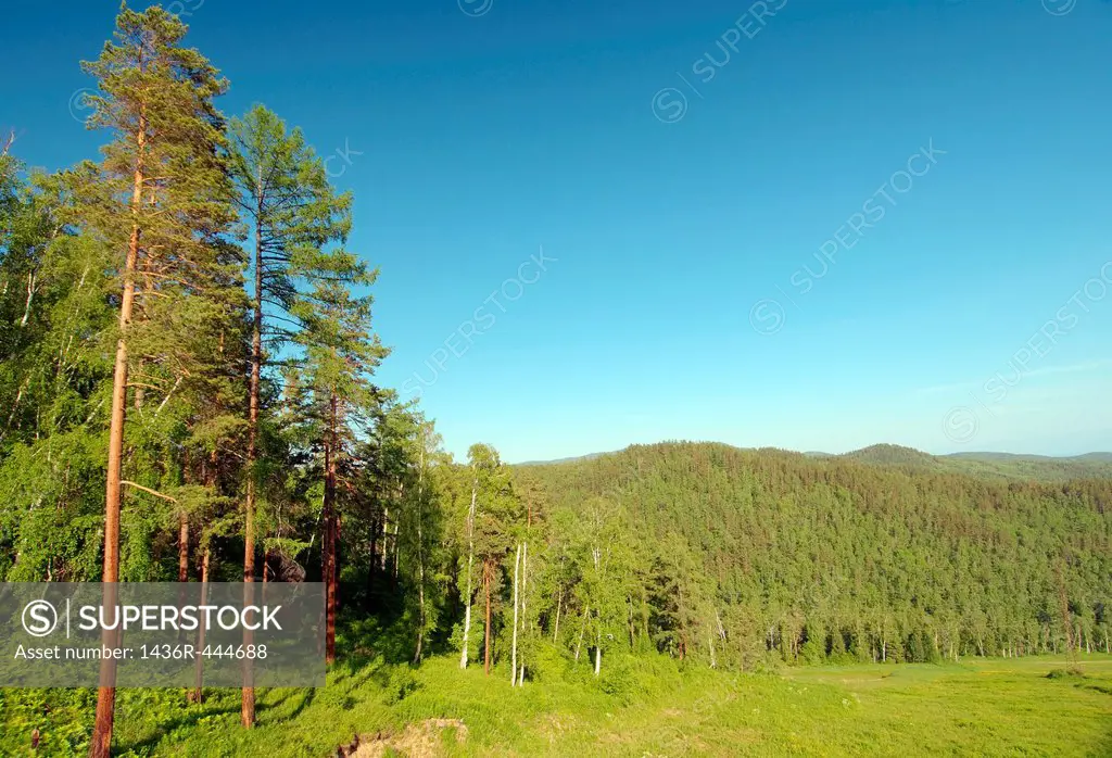 Russian landscape  Siberia, Russian Federation