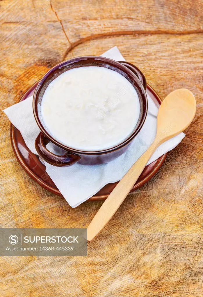 Bowl of organic goat yogurt with wooden spoon