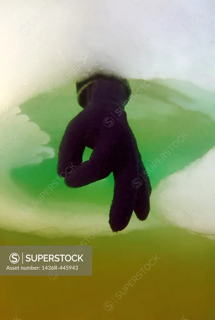 Diver´s hand giving the OK sign, subglacial diving, ice diving, in the frozen Black Sea, a rare phenomenon, last time it occured in 1977, Odessa, Ukra...