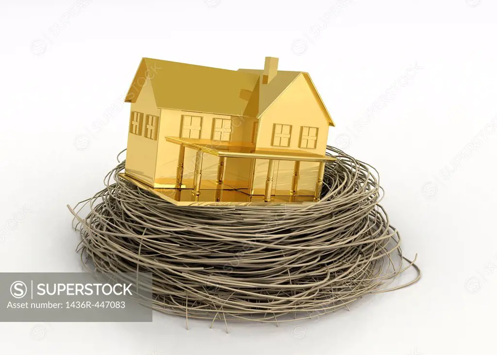 Illustrative image of gold house in bird´s nest representing property profit