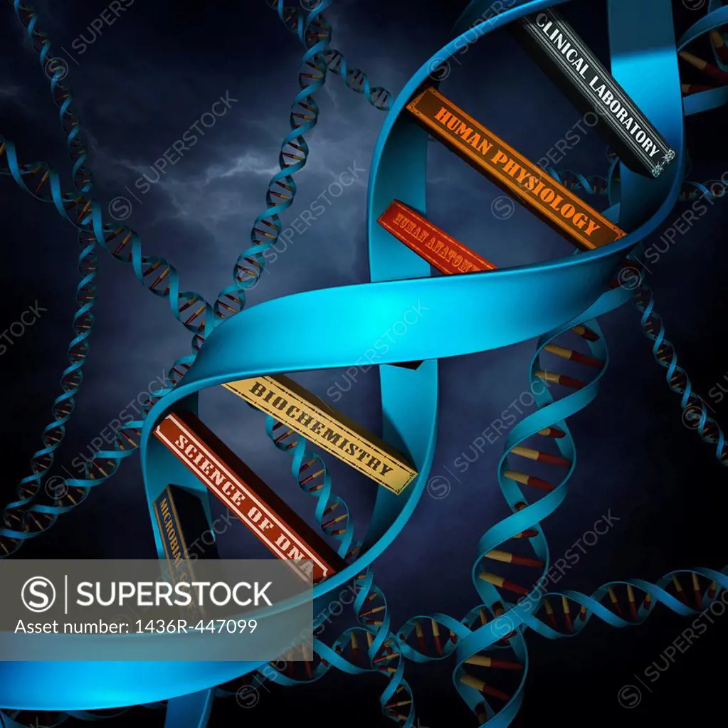 Illustrative image of DNA replica with books