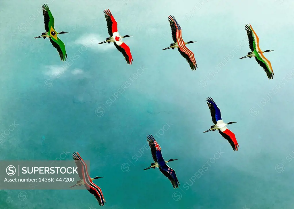 Illustrative image of birds flying in sky representing global business