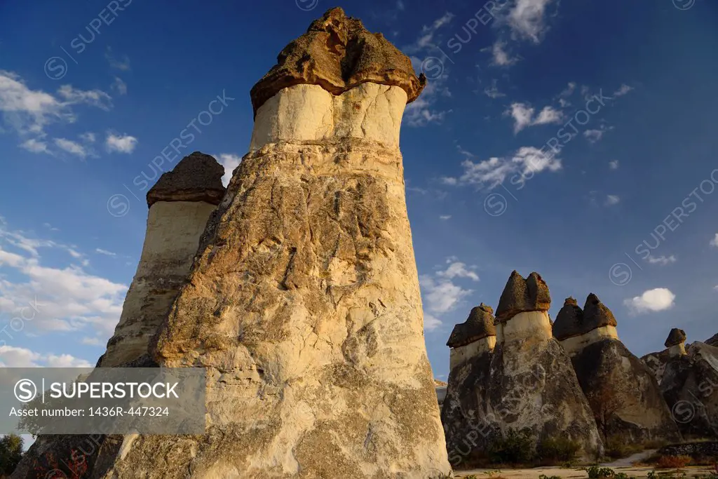 Mushroom shaped fairy chimneys lit with golden light at sunset in Pasabag Monks Valley Cappadocia Turkey
