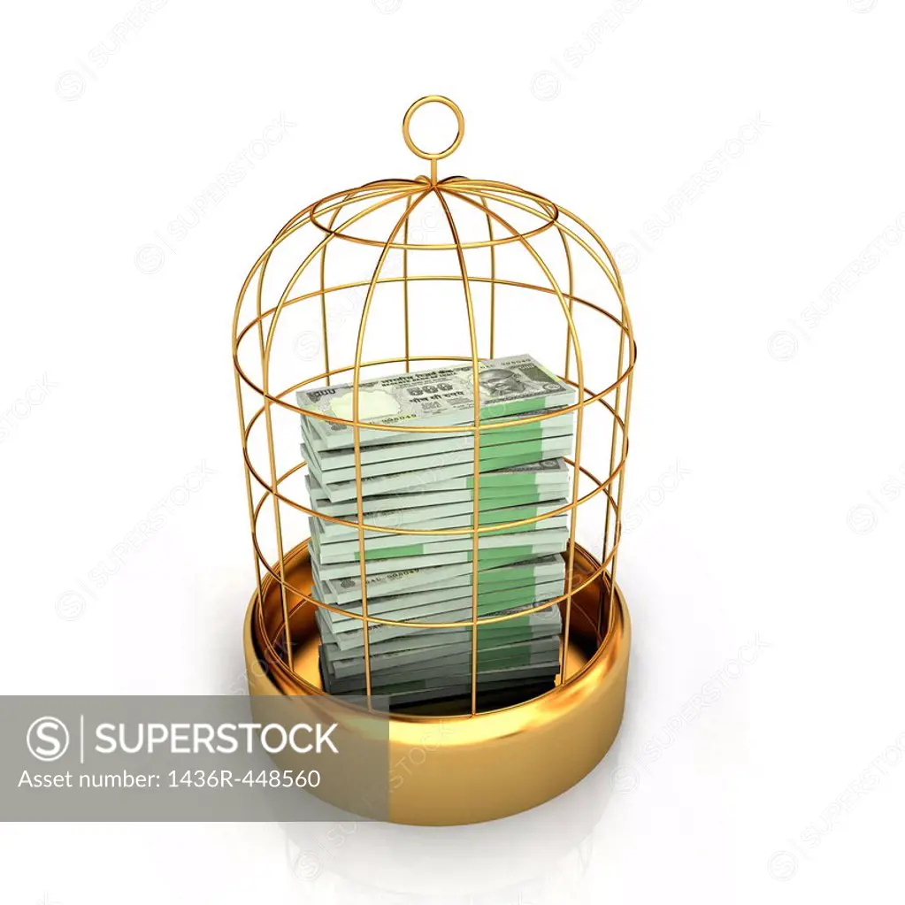 Close-up of money in birdcage