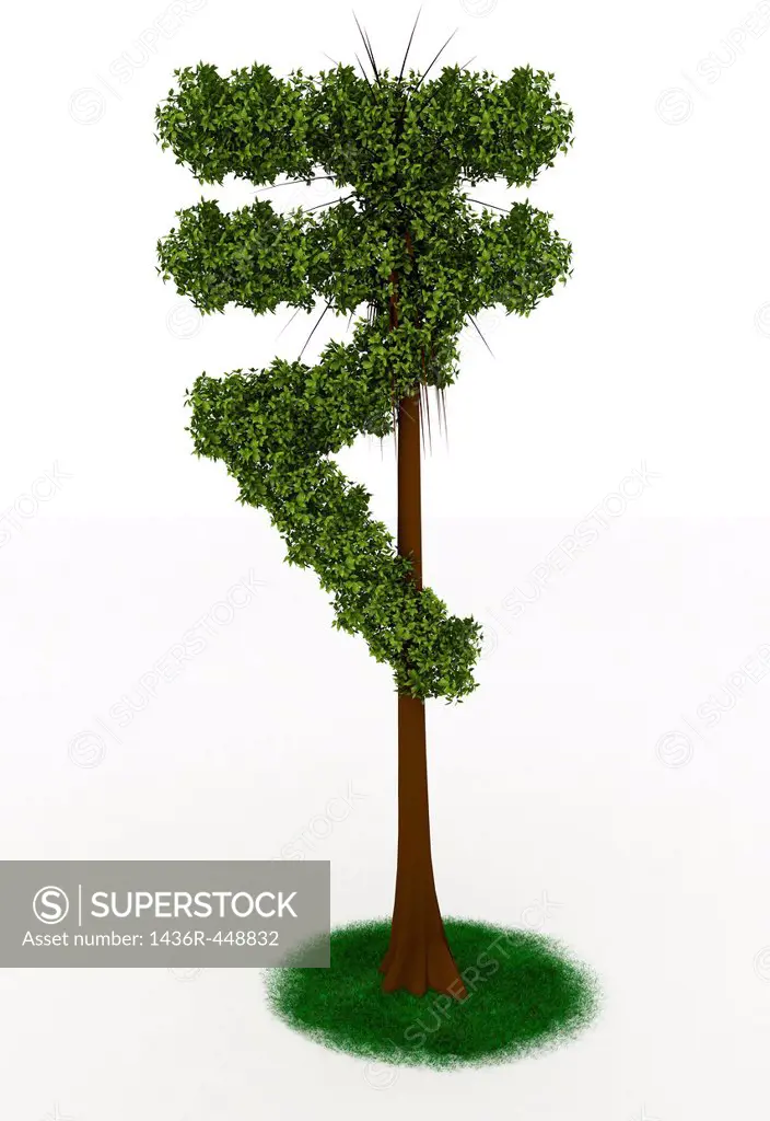 Indian Rupee tree on white background