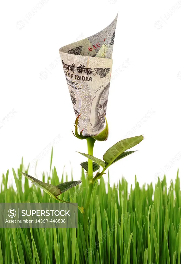 Conceptual image of financial growth