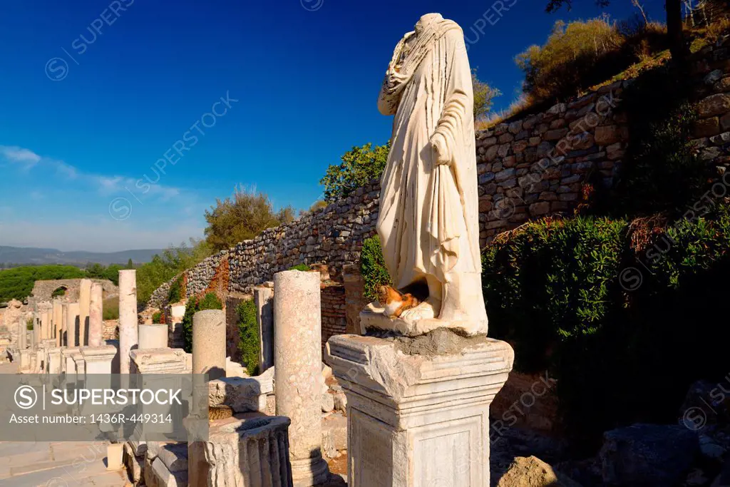 Feral cats on pedestal and marble statue at ruins on Curetes Street of ancient Ephesus Turkey