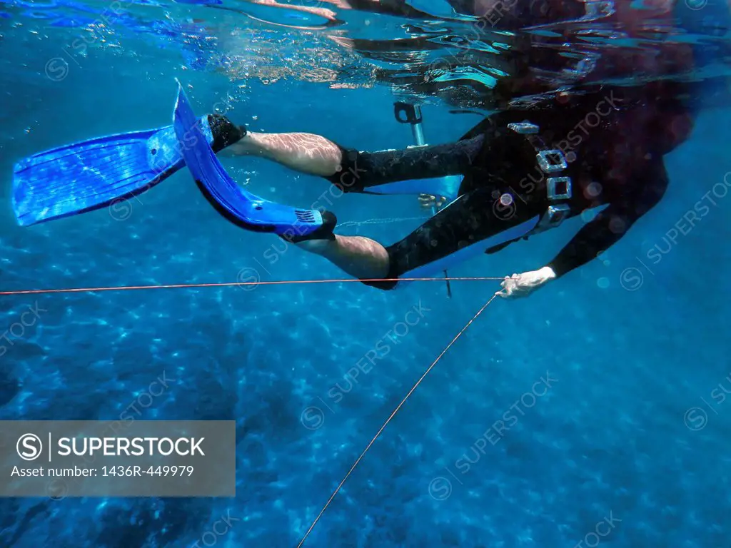 Underwater searching spearfishing with speargun.