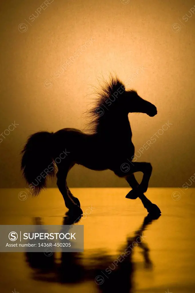 Silhouette of Toy Horse