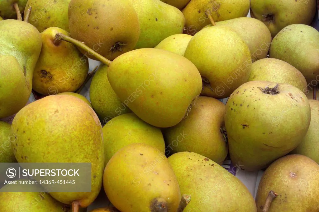Pears fresh product from small home organic orchard.