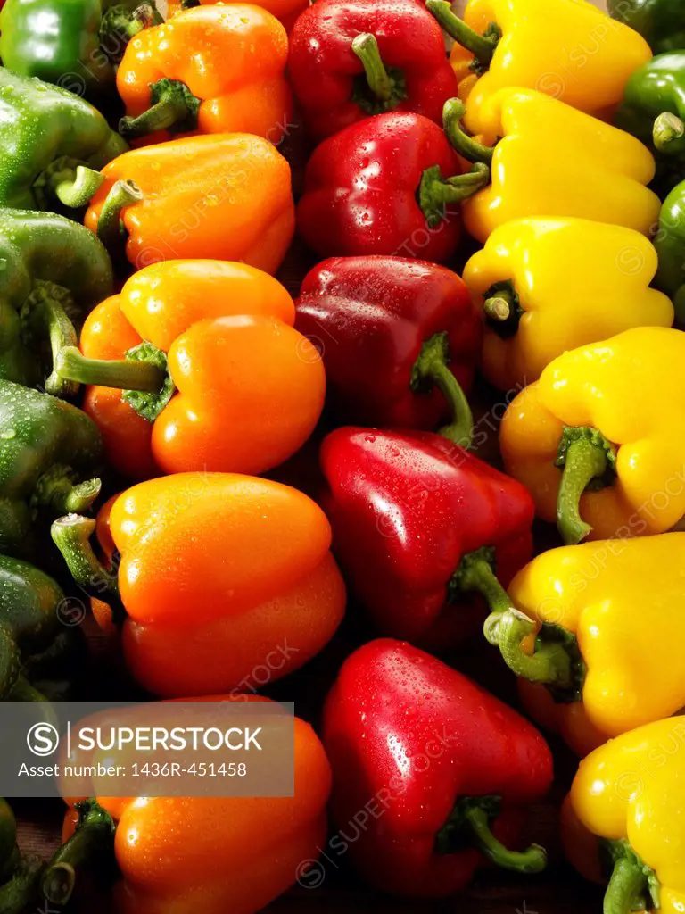 Mixed red, green, yellow and orange fresh bell peppers