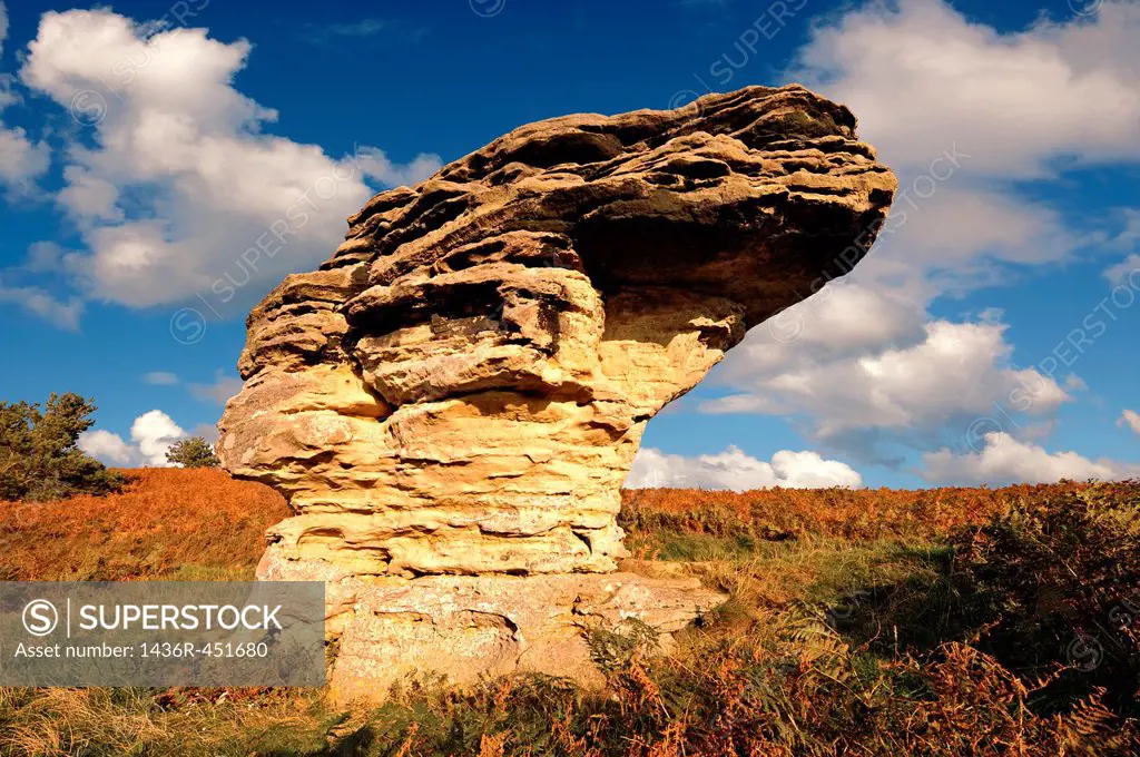 Bridestone rock formation in Dalby forest. Formed by softer sndstone being eroded faster that the limestone that is above it. North Yorks Moors Nation...