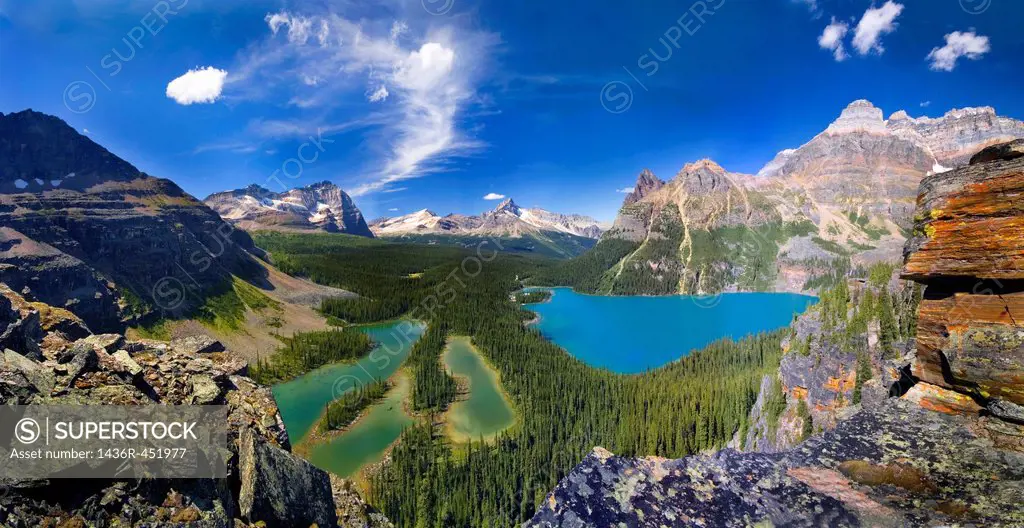 scenic lake ohara in canadian rockies seen from above.
