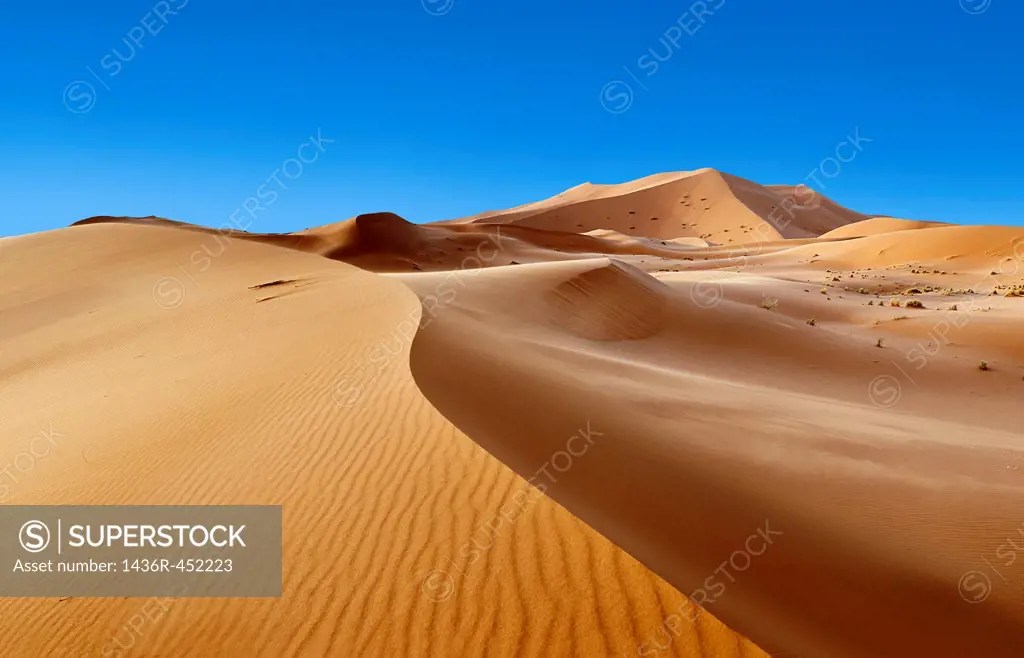 Sahara sand dunes of erg Chebbi, Morocco, Africa.
