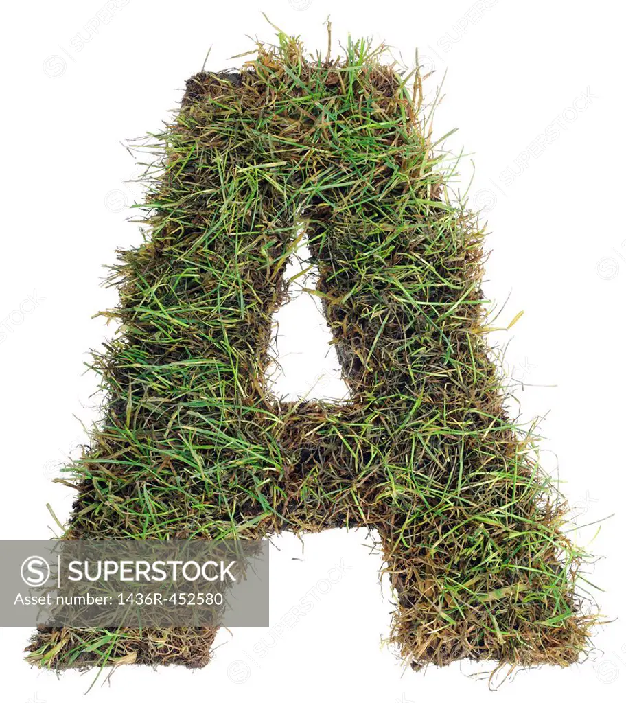 Letter A made with Real Grass Isolated on White Background.