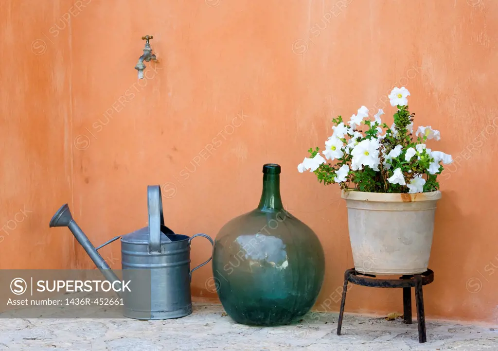 Garden still life with watering can, round vase and pot with white petunias.