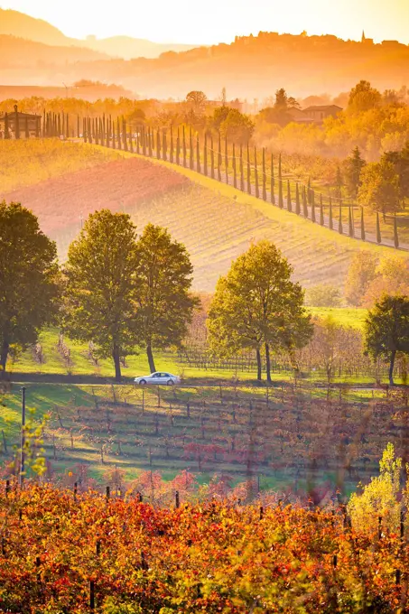 Castelvetro, Modena, Emilia Romagna, Italy. Sunset over the Lambrusco Grasparossa vineyards and rolling hills in autumn.