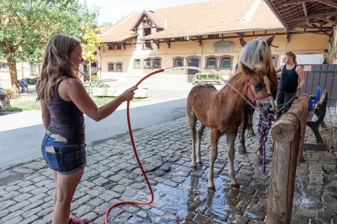 Women caring for mare with fole. Eco farm, Sauerland, Germany.
