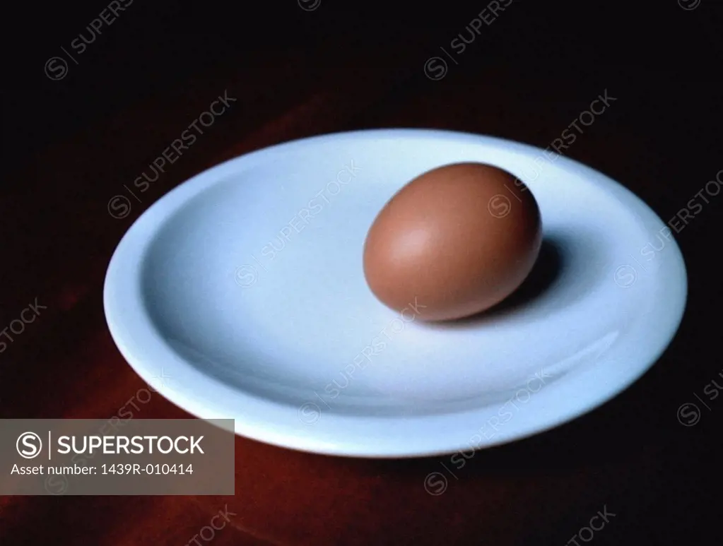 Egg on dinner plate