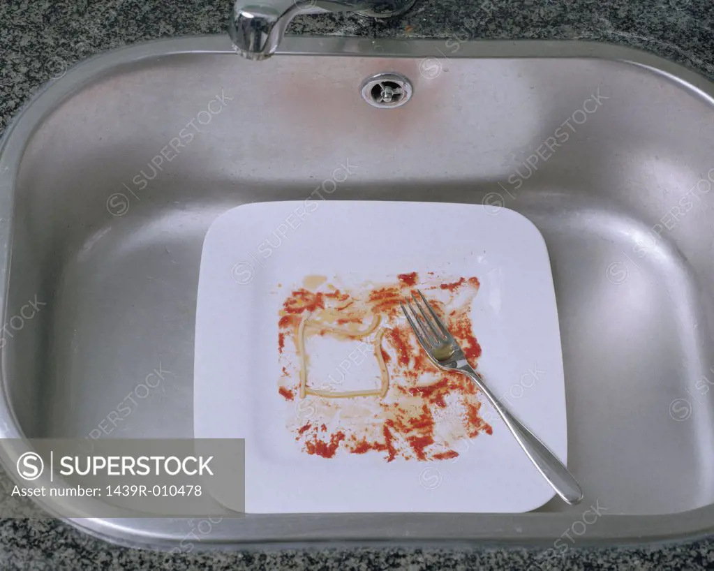 Square plate in sink