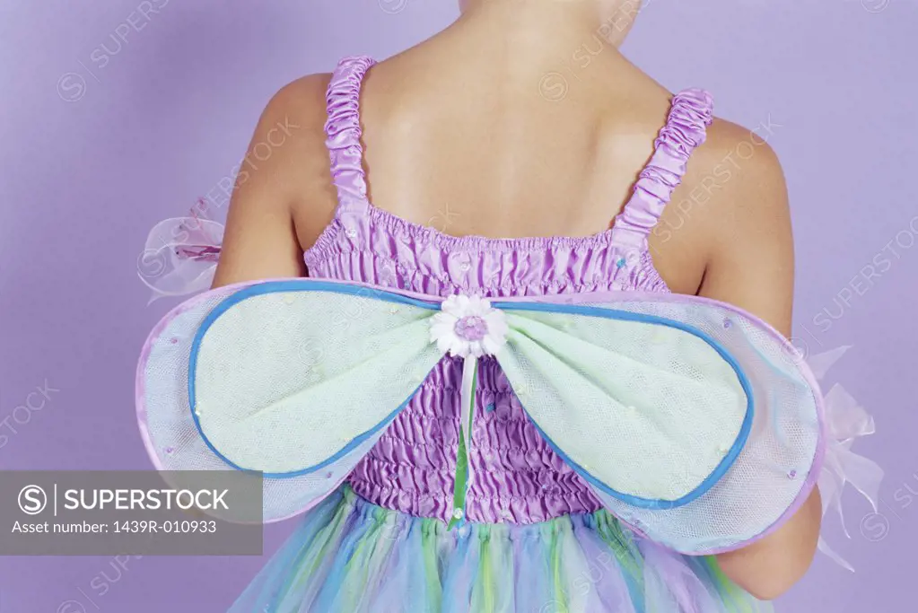 Girl in a fairy princess costume