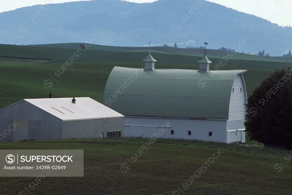 Farmhouse on arable farm