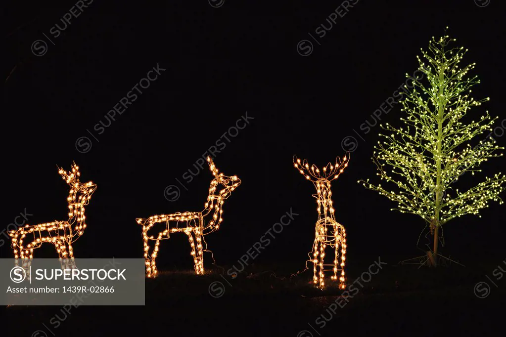 Illuminated reindeer