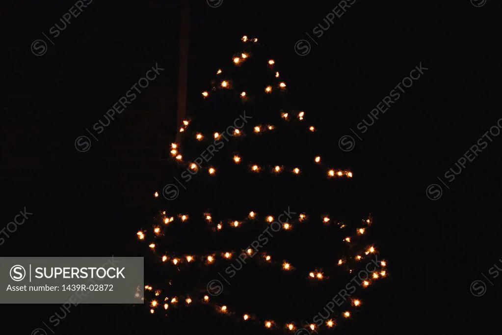 Illuminated chrisatmas tree