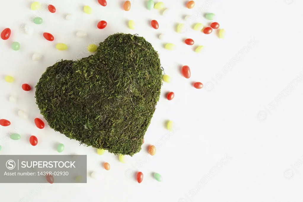 Heart shape made of grass