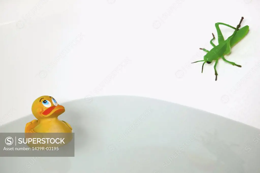 Locust and rubber duck in bathtub