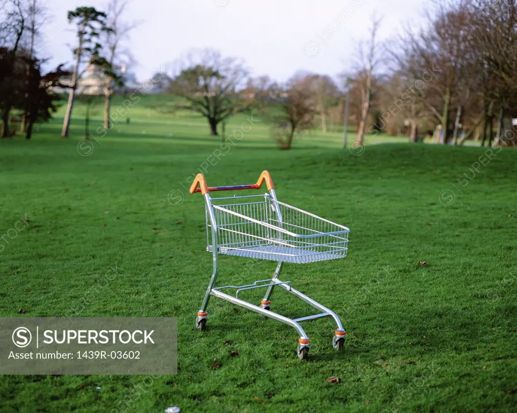 Shopping trolley left in park