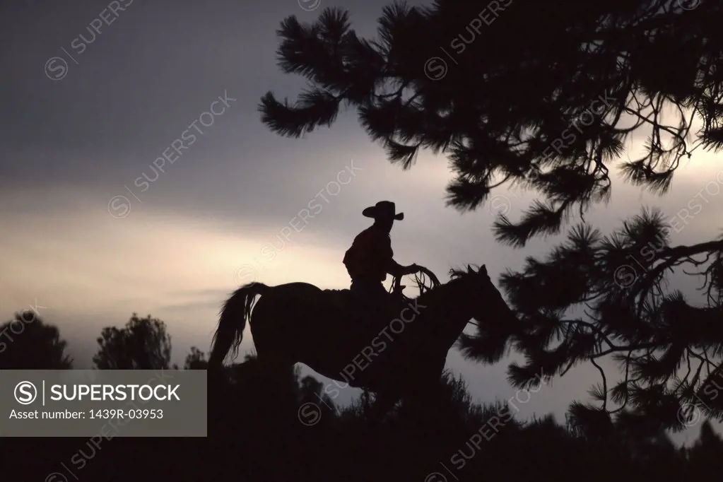 Silhouette of a cowboy